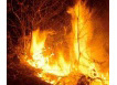 incendio boschivo
