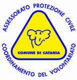logo volontariato