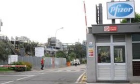 pFIZER cATANIA