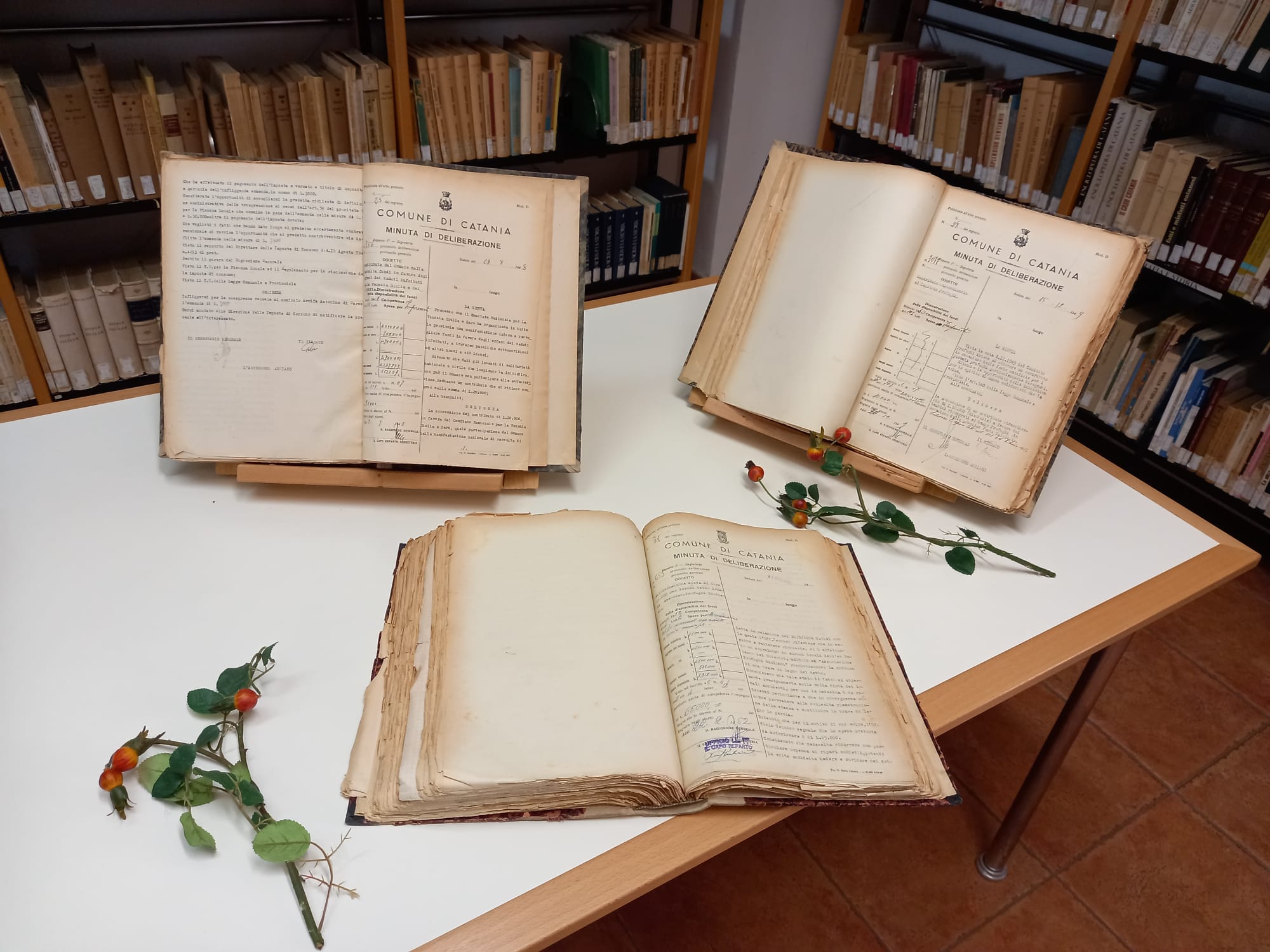 Foibe, esposti libri e reperti storici nella Biblioteca comunale per la giornata del Ricordo