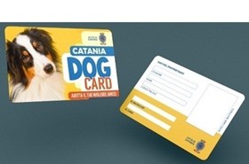 Catania Dog Card