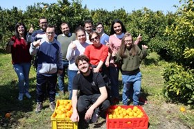 Gruppo di giovani impegnati in raccolta solidale