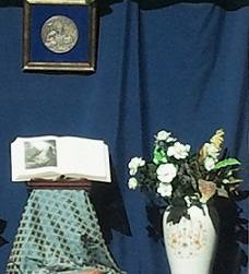 Farmacia Bellomo vetrina particolare