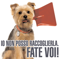 Campagna sensibilizzazione cani