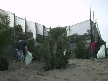 Operazione Spiaggia Pulita