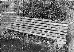 foto sedile parco canalicchio