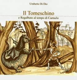 Copertina del libro Il Tomeschino e Regalbuto al tempo di Carmelo