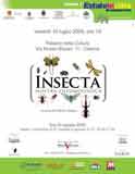 Mostra su insetti Insecta
