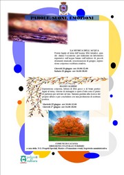 Laboratori creativi Parole, Suoni, Emozioni - Palazzo della Cultura - giugno 2013