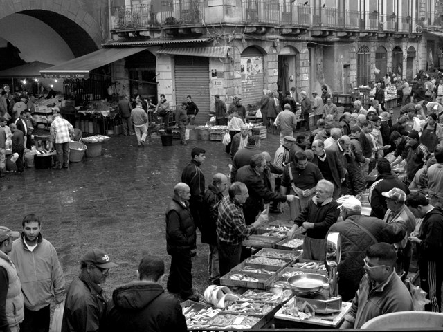 21 - dsc 0083 pescheria panoramica dai canali.jpg