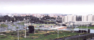 5 Circoscrizione Monte Po Nesima San Leone Rapisardi