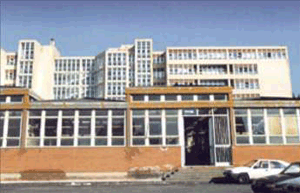 5 Circoscrizione Monte Po - Nesima - San Leone - Rapisardi